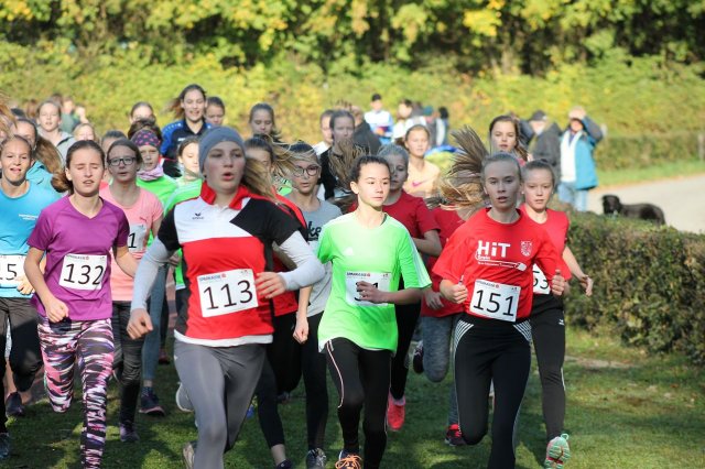 crosscountry_bezirksmeisterschaft2018 25